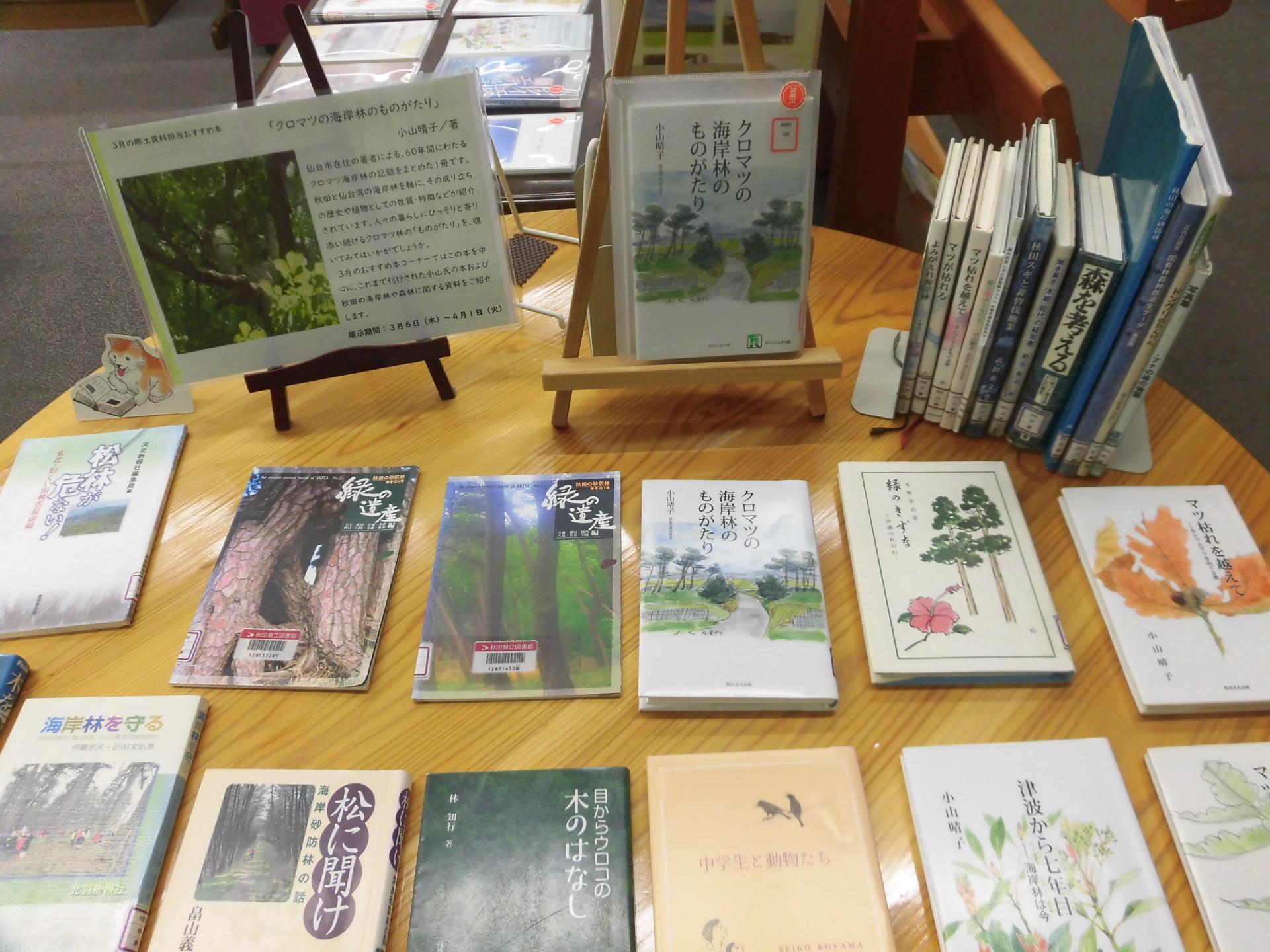 展示の写真