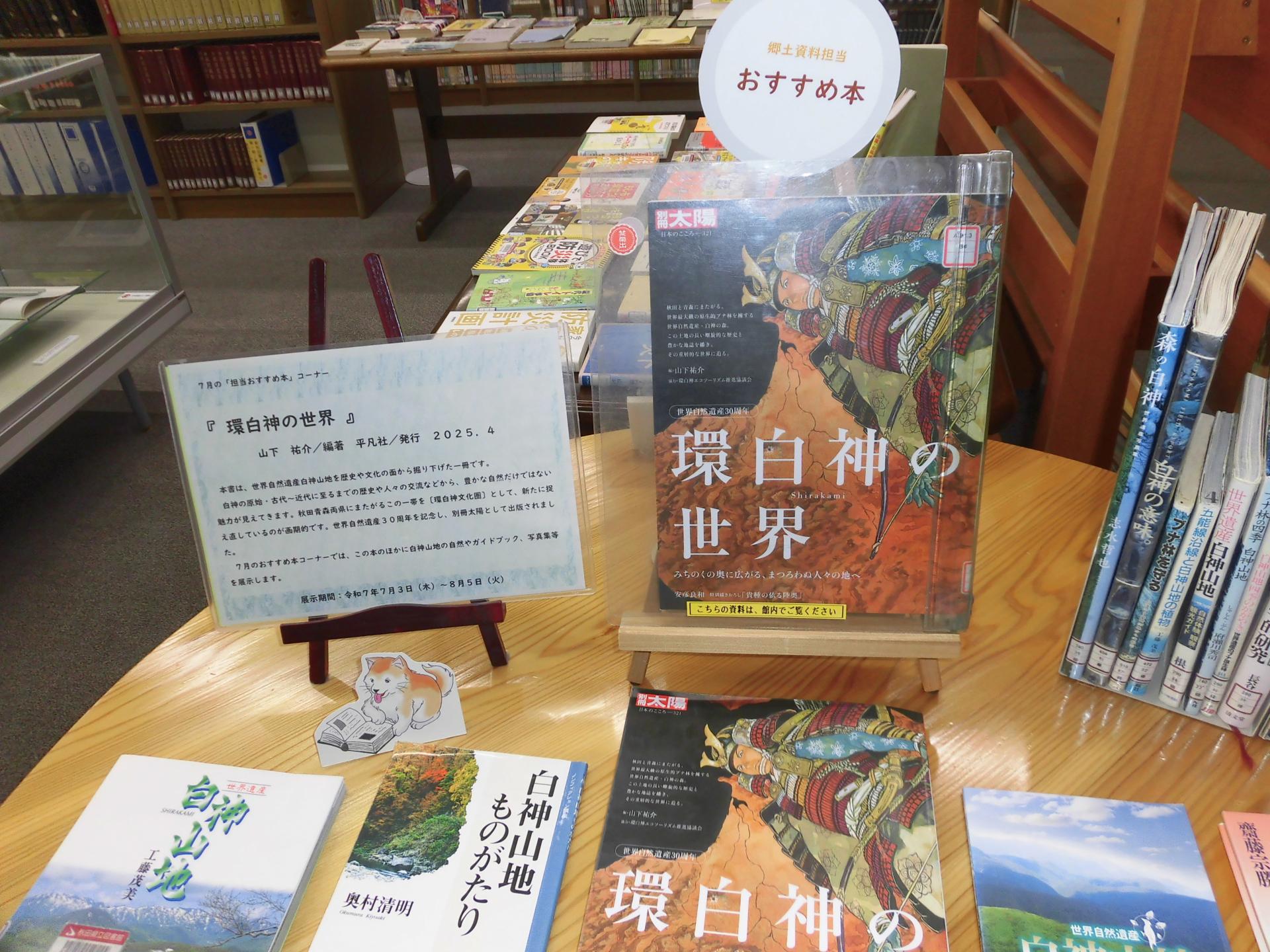 展示の写真