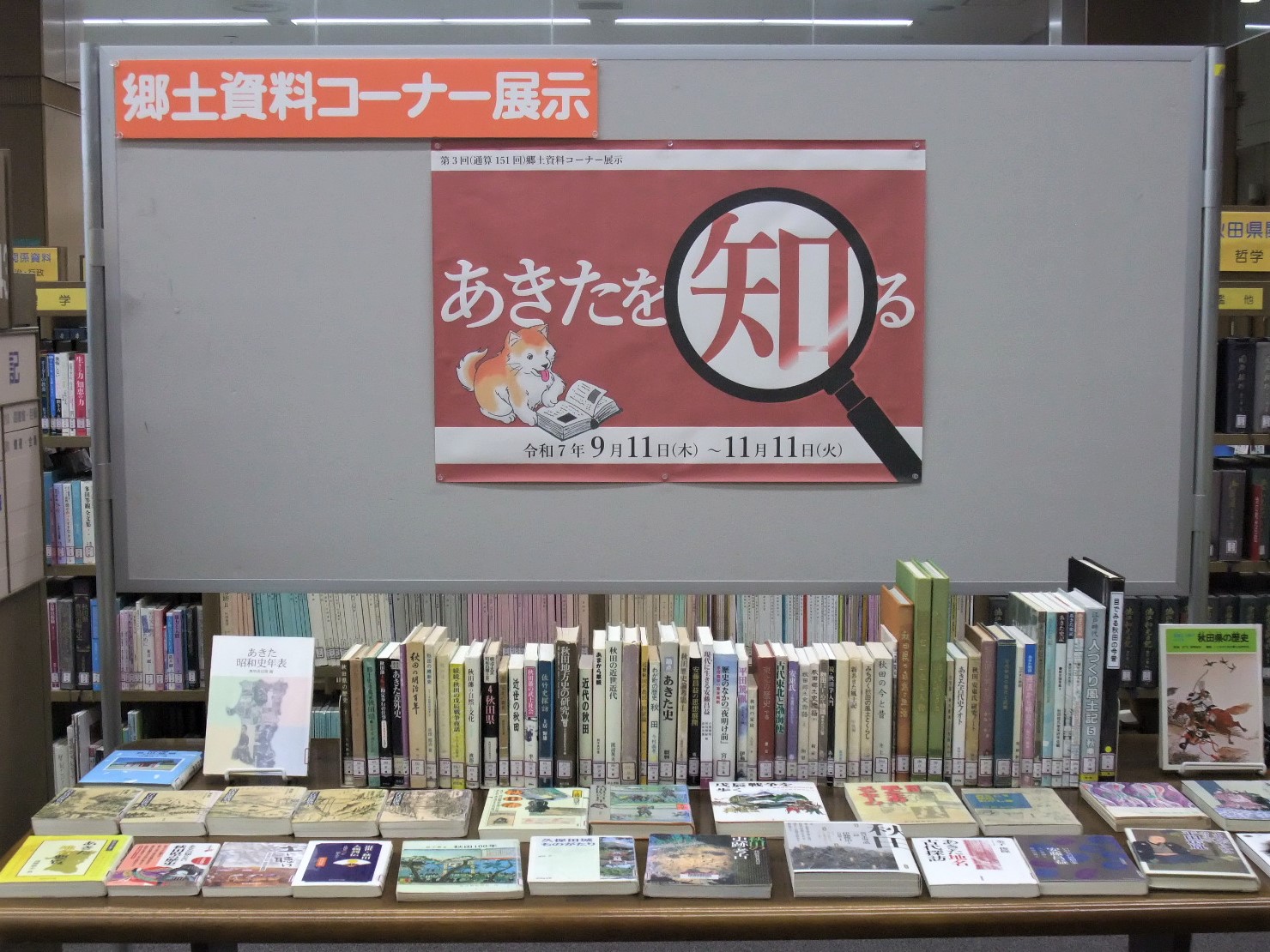 展示の写真