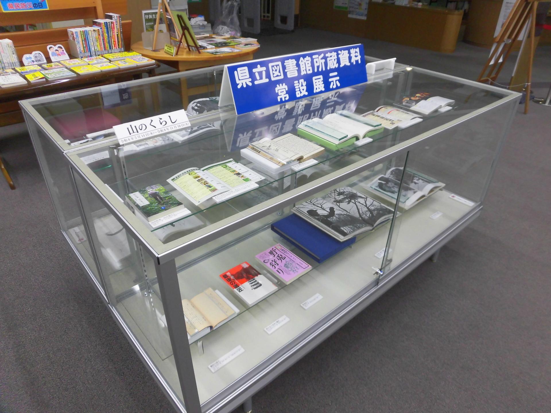 展示の写真