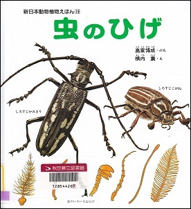 虫のひげ